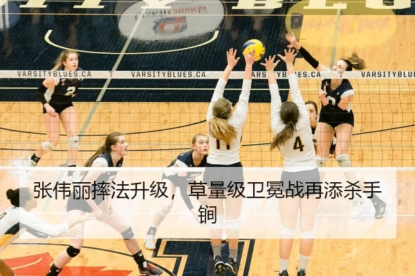 zhang-wei-li-shuai-fa-sheng-ji-cao-liang-ji-wei-mian-zhan-zai-tian-sha-shou-jian-2-561.jpg